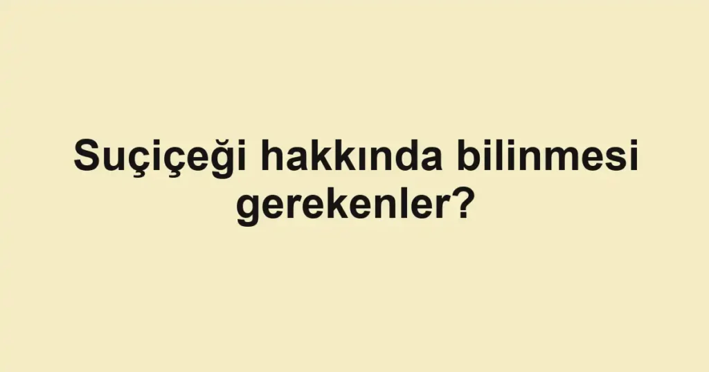 haber-gorseli-1790599869868