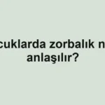 cocuklarda-zorbalik-nasil-anlasilir